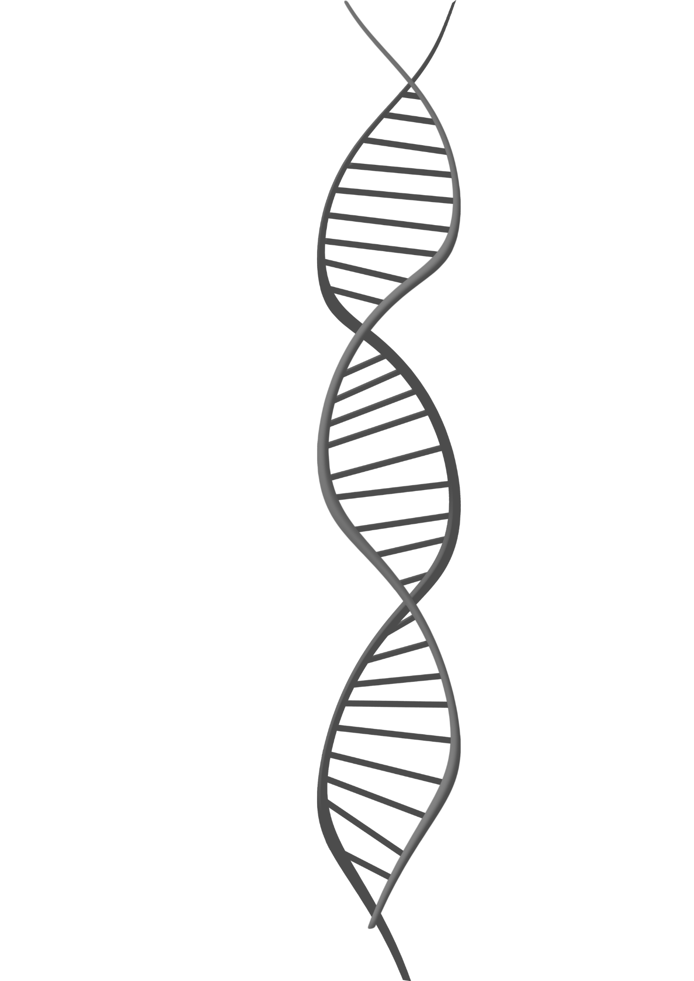 Molecular Biology - Real Laboratory